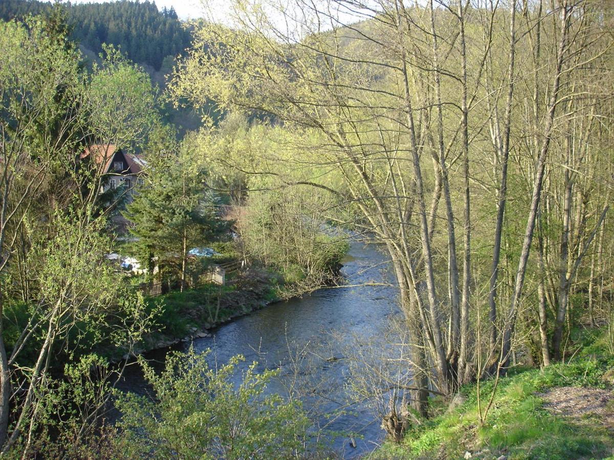 Ferienwohnung Altenbrak Haus Wilde Thale Exterior foto
