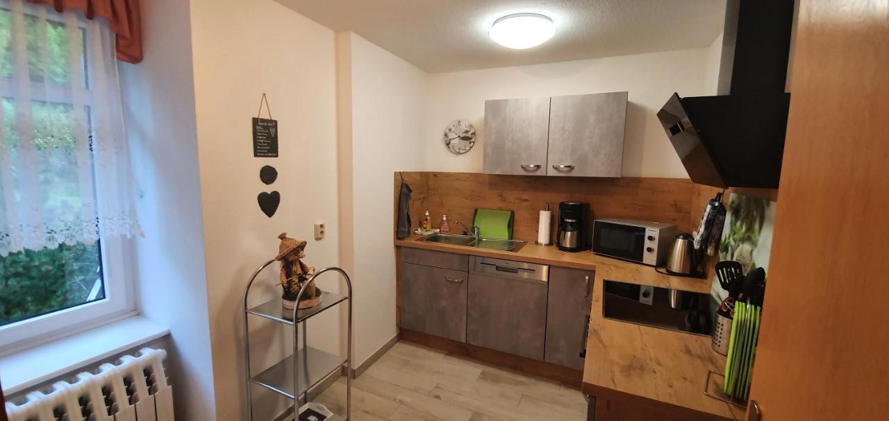 Ferienwohnung Altenbrak Haus Wilde Thale Exterior foto